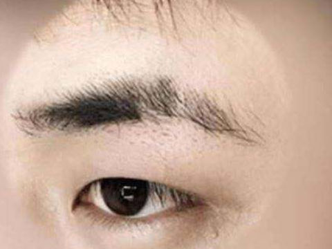 男人从眉毛看面相怎样看