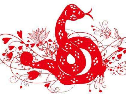 生肖女蛇和男鸡会相配吗