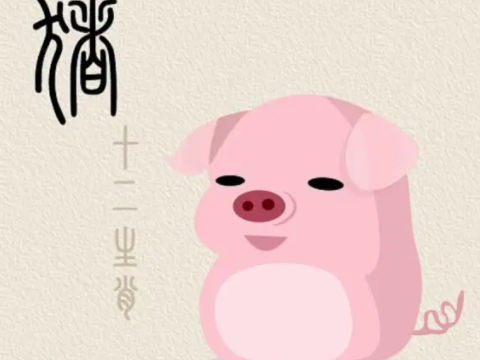 1995年属猪人27岁运势1995年属猪人2022年运势怎么样