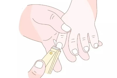在晚上能不能剪指甲