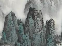 喜气洋洋打一生肖 生肖猪运势分析