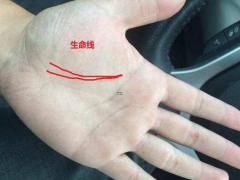 手上没有姻缘线好不好？对待感情一向不太关注