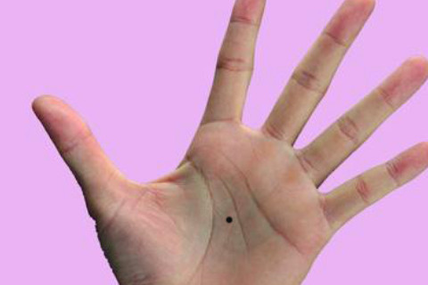 手掌痣相图解男 手掌痣的位置与命运图