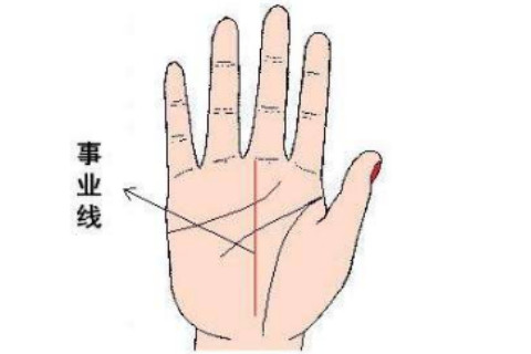 没有事业线的男人就一定没事业么 没有事业线的人会成功吗
