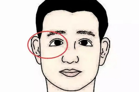 下三白眼的男人性格命运 下三白眼睛的人是什么样