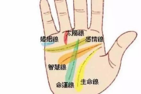 男人左手手相图解大全详解 左手手相图解大全男