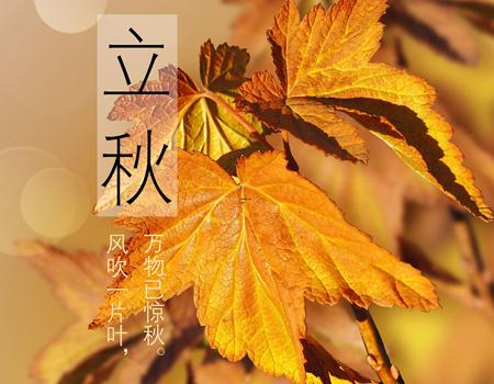 梦见女朋友烫头发是什么意思