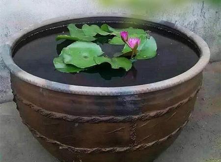 算命手相准还是生辰八字准,看手相准还是生辰八字准