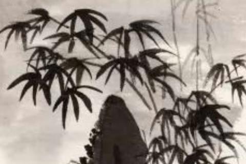 金貔貅手链女人应该戴哪只手 女人戴金貔貅哪个手