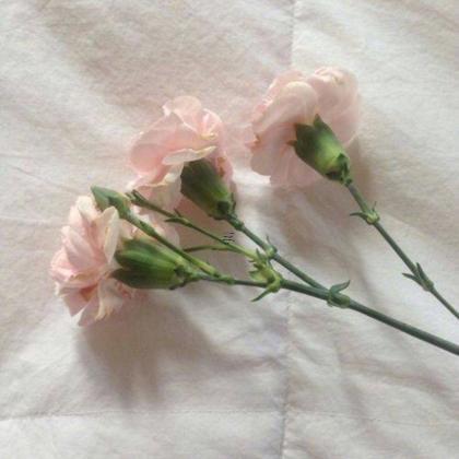 梦见买好多鸡蛋是什么预兆 梦见买了很多鸡蛋是什么意思周公解梦