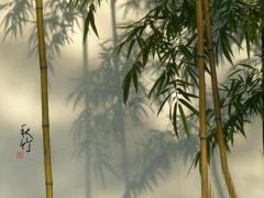 成功线看你能否飞黄腾达,成功线是哪一条线