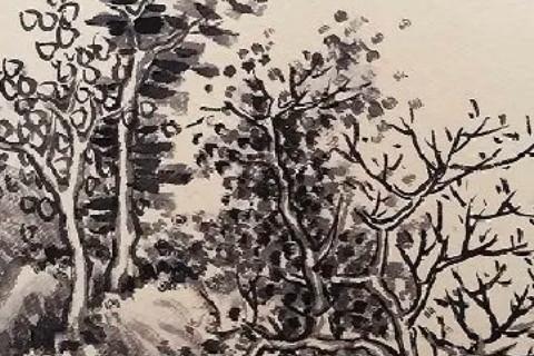 知乎上的学历认证靠谱吗 知乎学历认证有什么用