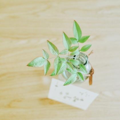 什么生肖八字最大 十二生肖中八字好的生肖排名