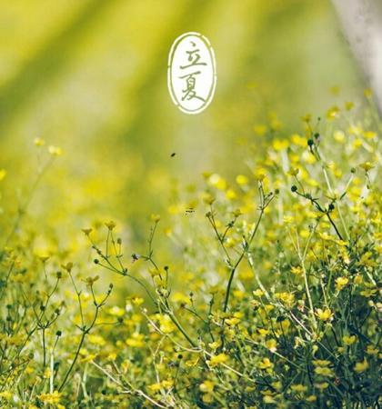 重庆铜梁天气预报周公解梦大全查询