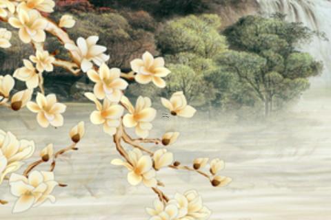 属兔的人会在本命年想冲么