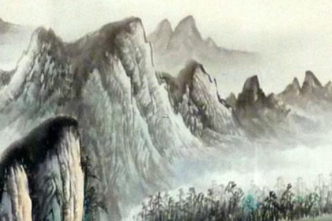 本命年兔不适合做什么事情
