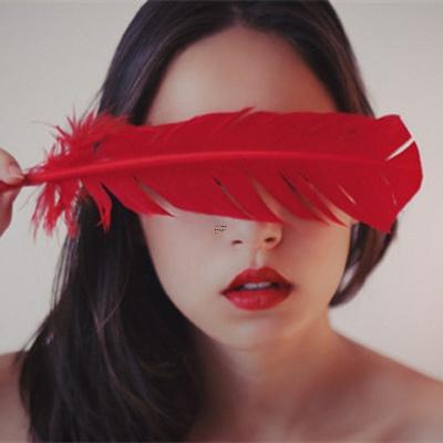 婚姻幸福所指的是什么生肖和动物