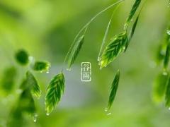 鱼儿入湖 梦见抛入湖泊