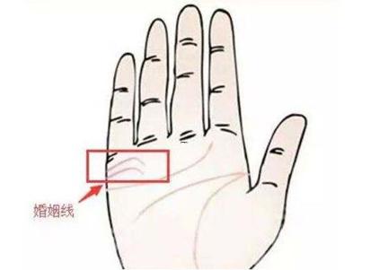 倒三角眼面相分析