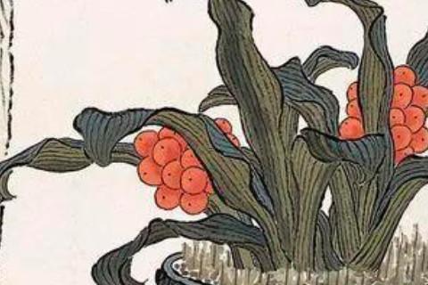 测字网免费算命 测字算命免费算命