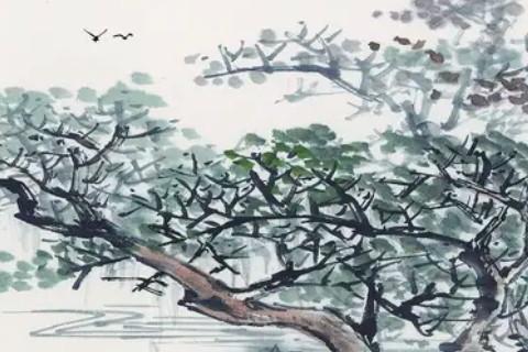 水瓶座11月运势 水瓶座11月运势2023年感情复合运程