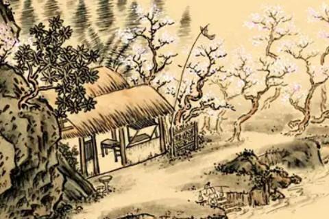 属牛2023幸运色