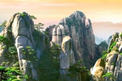 属虎人2024年3月3日运势运程,属虎的2024年3月3日要注意什么