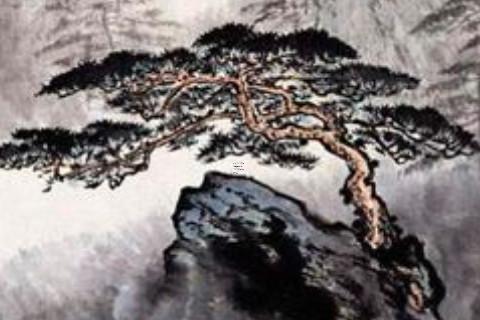 属马人2024年9月9日运势运程,属马的2024年9月9日要注意什么