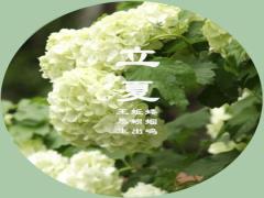 梦见渡轮 轮渡周公解梦，梦见渡轮 轮渡是什么意思？