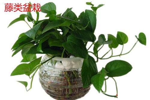 莆田大年初三的风俗是什么,莆田农历八月初三是什么日子