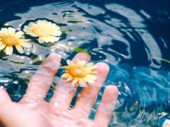 梦见门牙掉光没流血什么意思