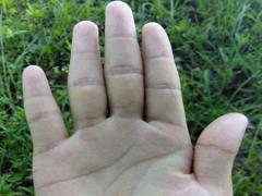 如何看掌纹识健康,掌纹怎么看健康状况