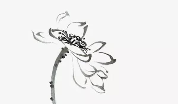 一支香的燃烧图解,神奇力量的起源