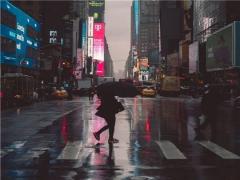 梦见黑狗进家门是什么征兆