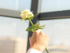 婚姻测算塔罗牌准不准 测试婚姻塔罗牌