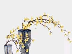 上香中间一根黑香不落,探秘黑香的起源与奇幻故事