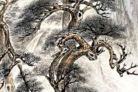86年属虎的一生命运怎么样,1986属虎运势