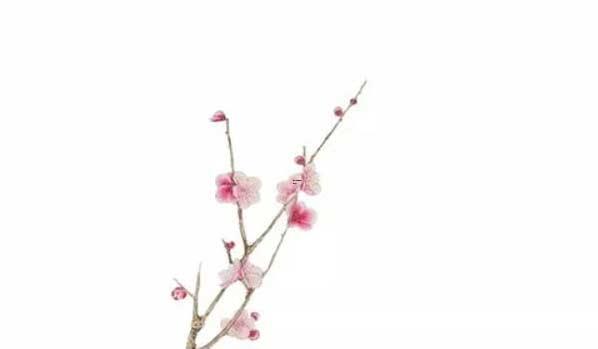 上香可以穿裙子吗 精选落实