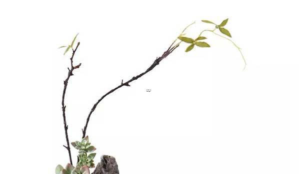 上香方向的正确方法,中心正确方法揭秘