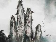 招财树怎么养活 招财树怎样养好