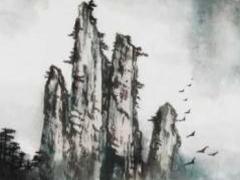 招财树为什么叫招财树 招财树又名