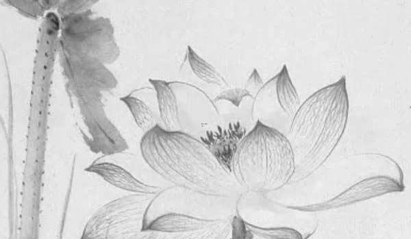 上香算命,探寻香算命的奥秘