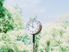 梦见鞋烂了是什么意思