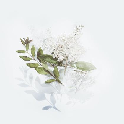 梦见生了四胞胎是什么意思