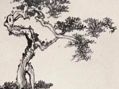 下午可以去寺庙吗有什么禁忌