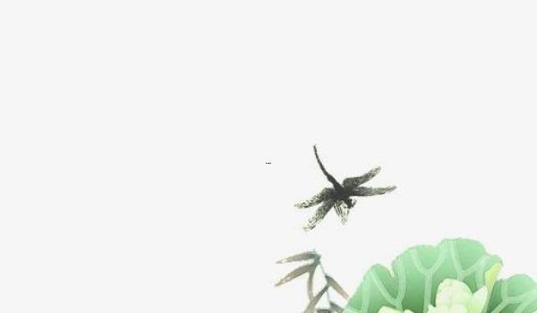 九华山在哪烧香