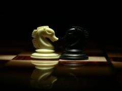 梦见金蝉脱壳,梦见脱了壳的金蝉