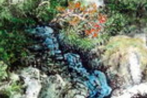 属马44岁过后的命运 属马44岁45岁发生啥