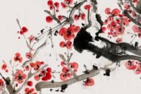 72年鼠人2021年幸运色,属鼠的幸运色是什么颜色