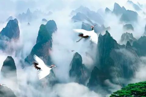 姓名缘分测试免费 姓名测缘分配对